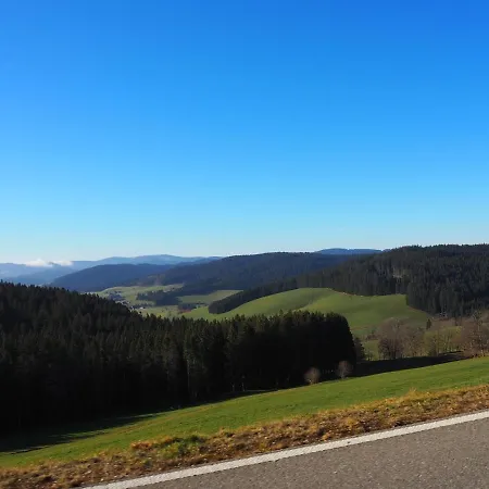 Fuchs Eisenbach (Breisgau-Hochschwarzwald)