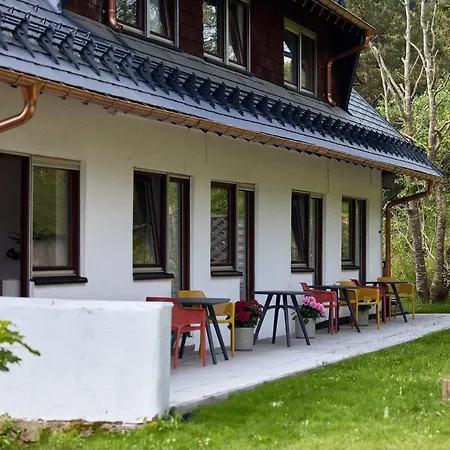 Fuchs * Eisenbach (Breisgau-Hochschwarzwald)